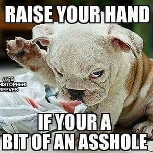 Meet your Posher, Dennis